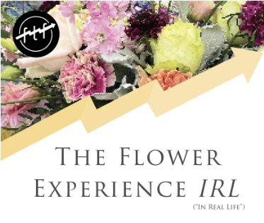 The Flower Experience report cover