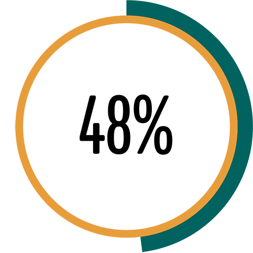 Circle with border colored to represent 48%.