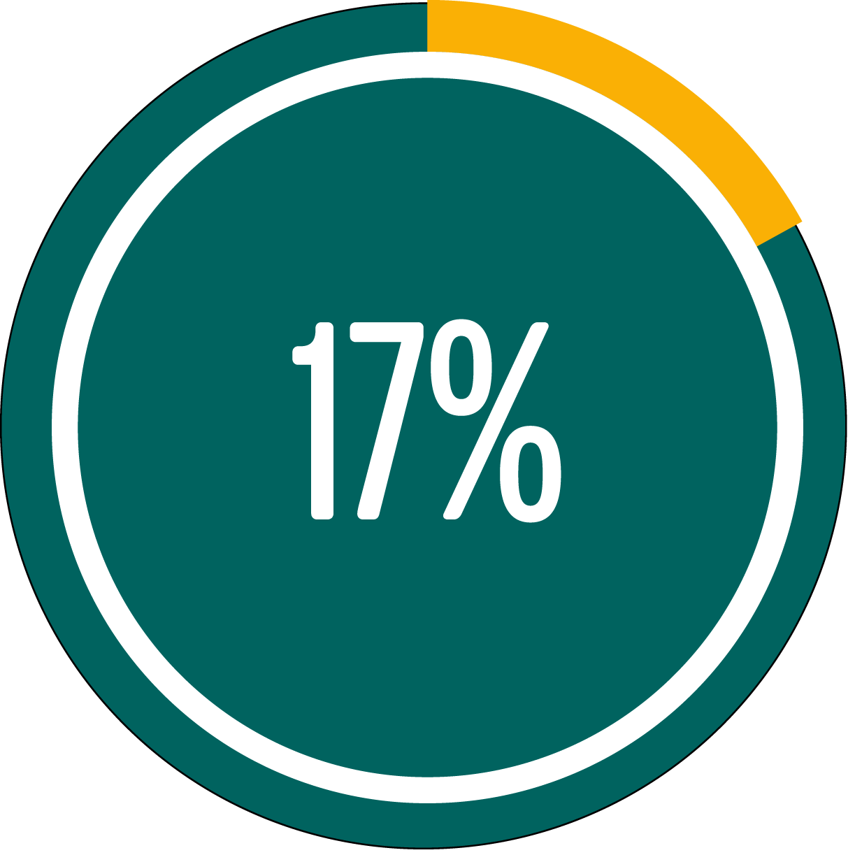 Circle graph showing 17 percent full