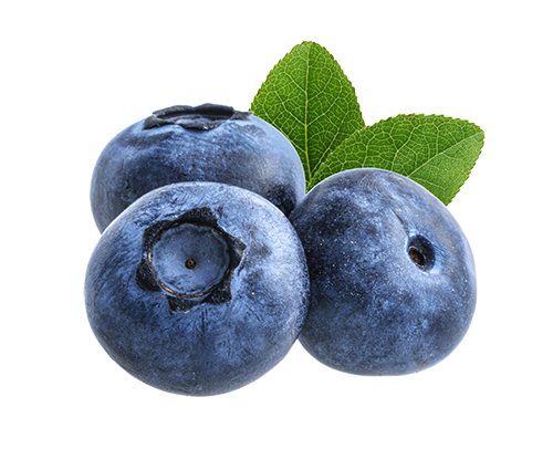 Three whole blueberries