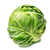 A single green brussels sprout