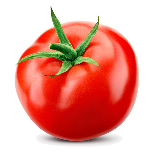 Single bright red tomato